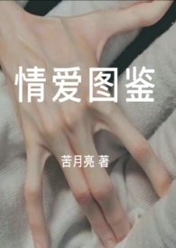 蕲艾贴精华护理贴